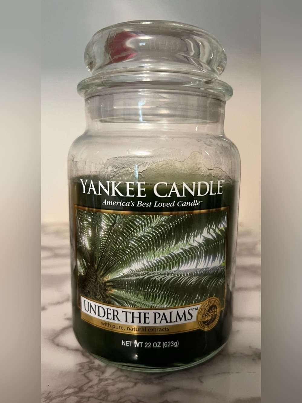 Yankee Candle Under the Palms Large Jar 22 oz Single Wick Used ~80%